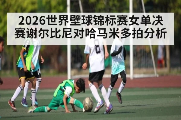 2026世界壁球锦标赛女单决赛谢尔比尼对哈马米多拍分析